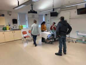 Photo of perinatal Mental Health Simulation training in action